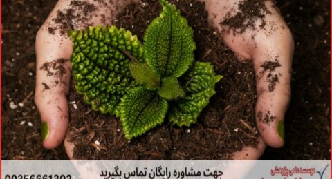 انجام پایان نامه تکنولوژی تولیدات گیاهی