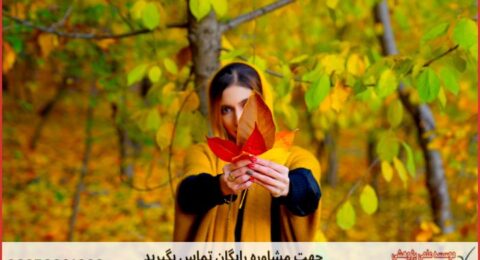 انجام پایان نامه در تبریز + استعلام رایگان هزینه و قیمت