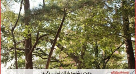 انجام پایان نامه در باغستان + استعلام رایگان هزینه و قیمت