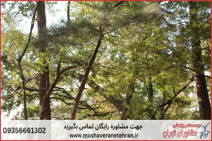 انجام پایان نامه در باغستان + استعلام رایگان هزینه و قیمت