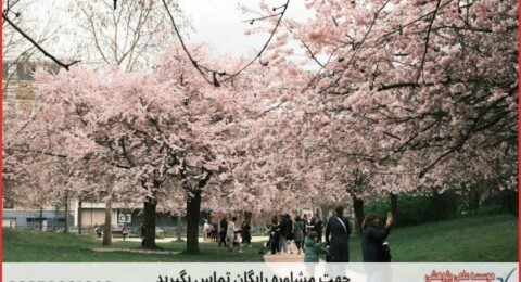 انجام پایان نامه در بهار + استعلام رایگان هزینه و قیمت