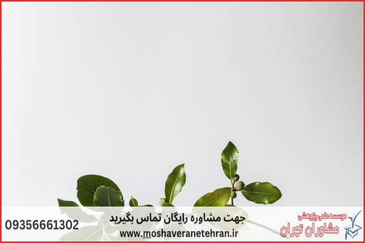 انجام پایان نامه در خیابان حافظ + استعلام رایگان هزینه و قیمت — تصویر 2