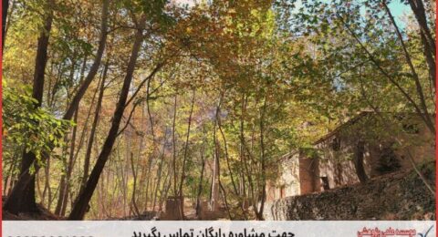 انجام پایان نامه در طرقبه + استعلام رایگان هزینه و قیمت