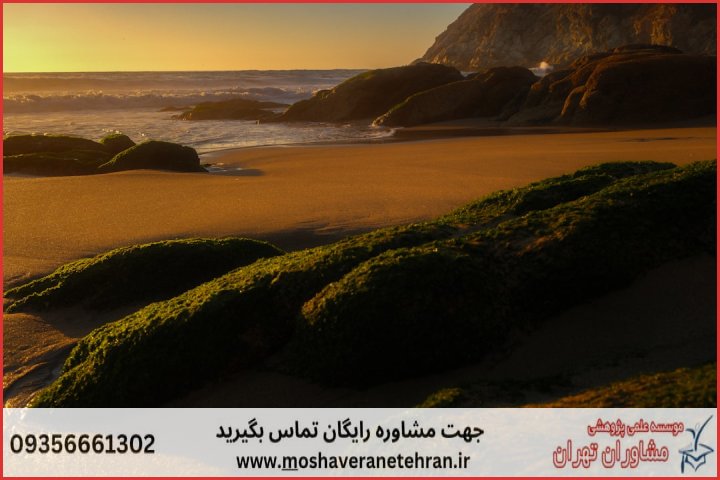 انجام پایان نامه در کتالم و سادات‌شهر + استعلام رایگان هزینه و قیمت
