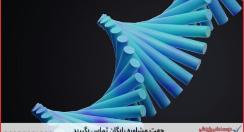 انجام پایان نامه زیست شناسی ژنتیک + مشاوره و استعلام هزینه و قیمت نگارش