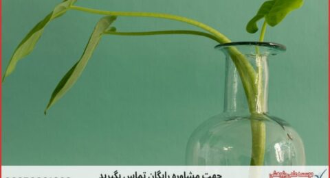 انجام پایان نامه زیست شناسی علوم گیاهی + مشاوره و استعلام هزینه و قیمت نگارش