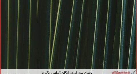 انجام پایان نامه عمران سواحل و بنادر + مشاوره و استعلام هزینه و قیمت نگارش