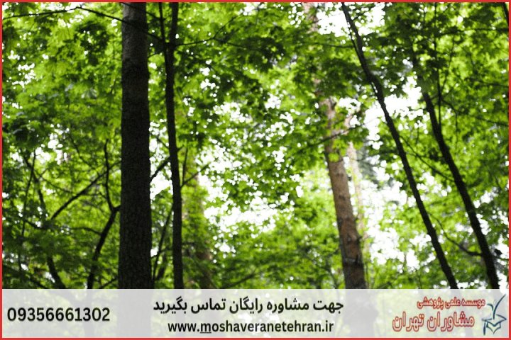 انجام پایان نامه منابع طبیعی جنگلداری + مشاوره و استعلام هزینه و قیمت نگارش
