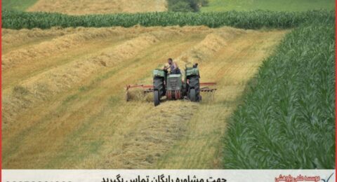 انجام پایان نامه کشاورزی زراعت + مشاوره و استعلام هزینه و قیمت نگارش