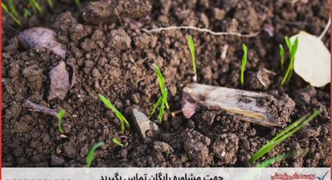 انجام پایان نامه کشاورزی علوم خاک + مشاوره و استعلام هزینه و قیمت نگارش