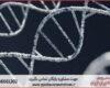 انجام پایان نامه ارزان در ژنتیک