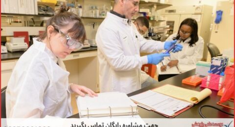 مشاوره رساله ارزان در ژنتیک