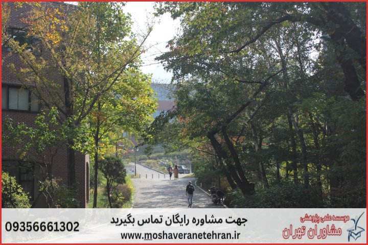 مشاوره پایان نامه برای دانشجویان برنامه‌ریزی شهری