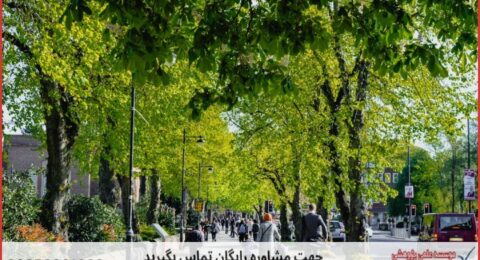 ویرایش پایان نامه ارزان در برنامه‌ریزی شهری