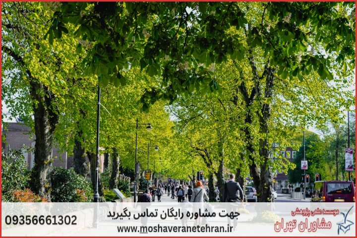 ویرایش پایان نامه ارزان در برنامه‌ریزی شهری