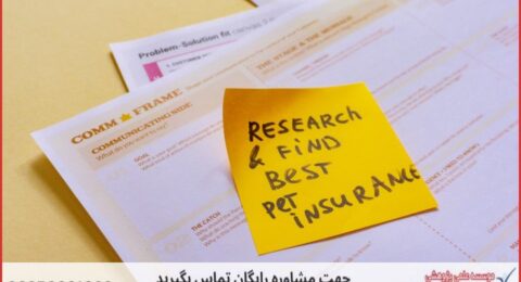 انجام رساله دکتری چگونه انجام می‌شود در هوش تجاری