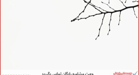 تحلیل آماری پایان نامه با نمونه کار در حوزه هوش مصنوعی