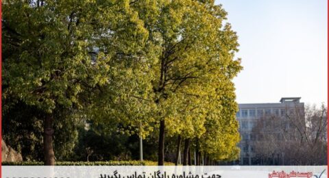 مشاوره پایان نامه در موضوع رفتار سازمانی