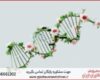 نگارش پایان نامه در موضوع ژنتیک