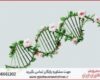 پروپوزال نویسی با نمونه کار در حوزه ژنتیک