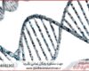 پشتیبانی پایان نامه ارزان در ژنتیک