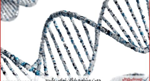 پشتیبانی پایان نامه ارزان در ژنتیک