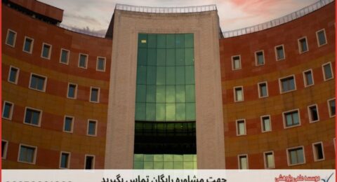 تحلیل آماری پایان نامه تضمینی