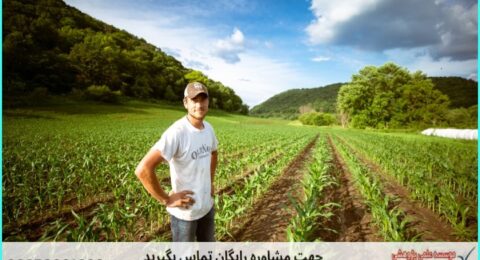 مشاوره روش تحقیق پایان‌نامه کشاورزی