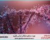 انجام پروژه با Galaxy برای تحلیل داده‌های توالی‌یابی