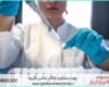 انجام پروژه با Oligo7 برای طراحی پرایمر