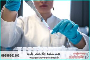 انجام پروژه با Oligo7 برای طراحی پرایمر