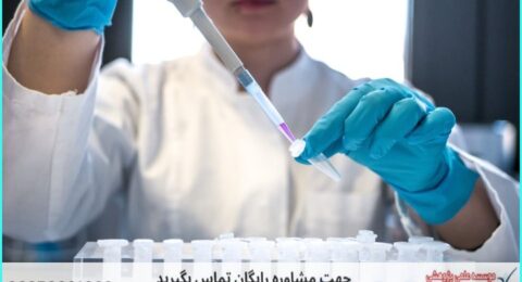 انجام پروژه با Oligo7 برای طراحی پرایمر