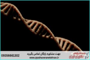 انجام پروژه با Sequencher برای آنالیز توالی DNA