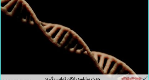 انجام پروژه با Sequencher برای آنالیز توالی DNA