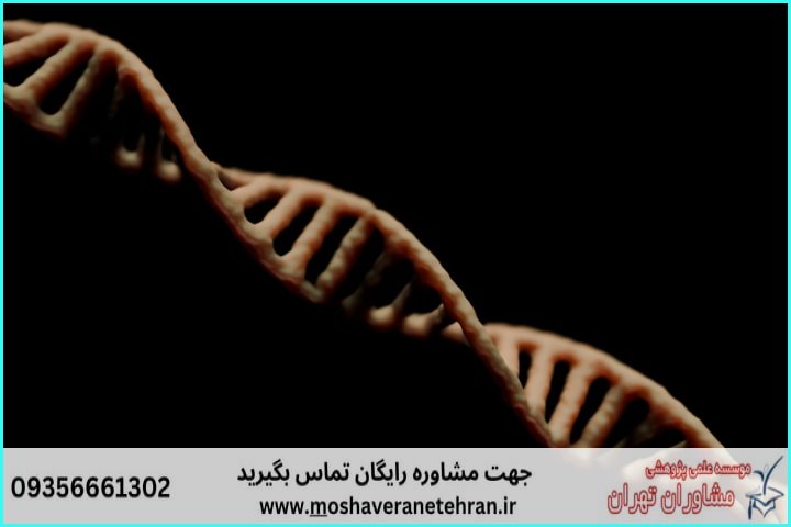انجام پروژه با Sequencher برای آنالیز توالی DNA