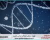 انجام پروژه با SnapGene برای تحلیل و طراحی DNA
