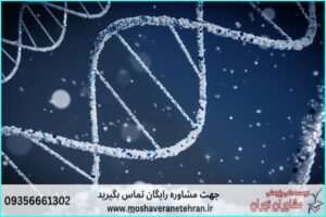 انجام پروژه با SnapGene برای تحلیل و طراحی DNA