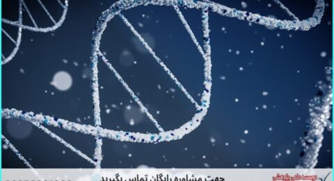انجام پروژه با SnapGene برای تحلیل و طراحی DNA