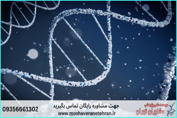 انجام پروژه با SnapGene برای تحلیل و طراحی DNA