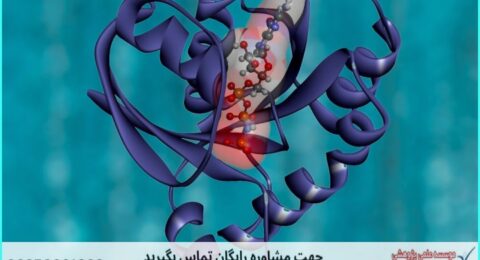 انجام پروژه با STRING برای تحلیل تعاملات پروتئینی