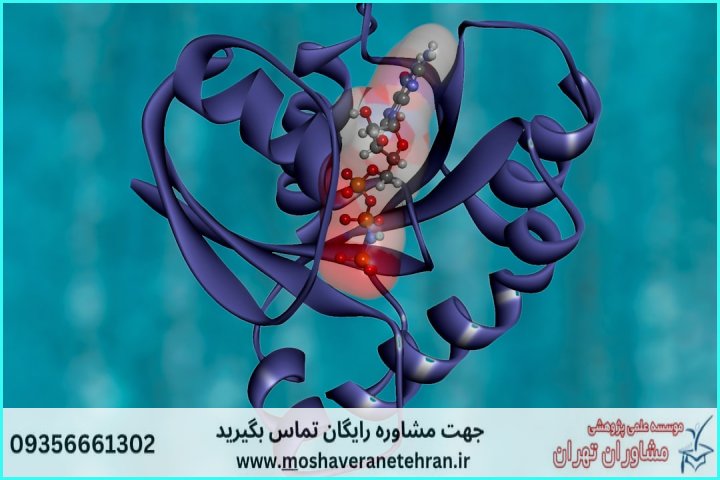 انجام پروژه با STRING برای تحلیل تعاملات پروتئینی